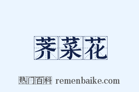 荠菜花是什么意思的图片